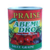 Praise Abemudro