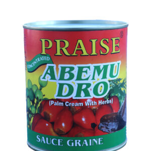 Praise Abemudro