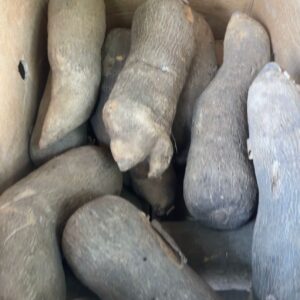 Yam- "Puna" 3PCS